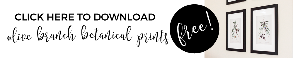 FREE printable olive branch botanical prints | Gather and Flourish