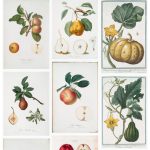 Free Fall Botanical Prints Round-Up